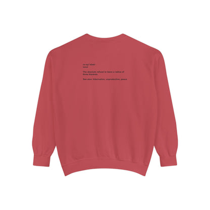 Koze Vibes Sweatshirt — 'Cozy' Definition Graphic Sweatshirt